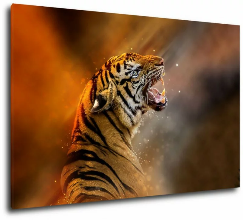 Obraz na ścianę - tygrys