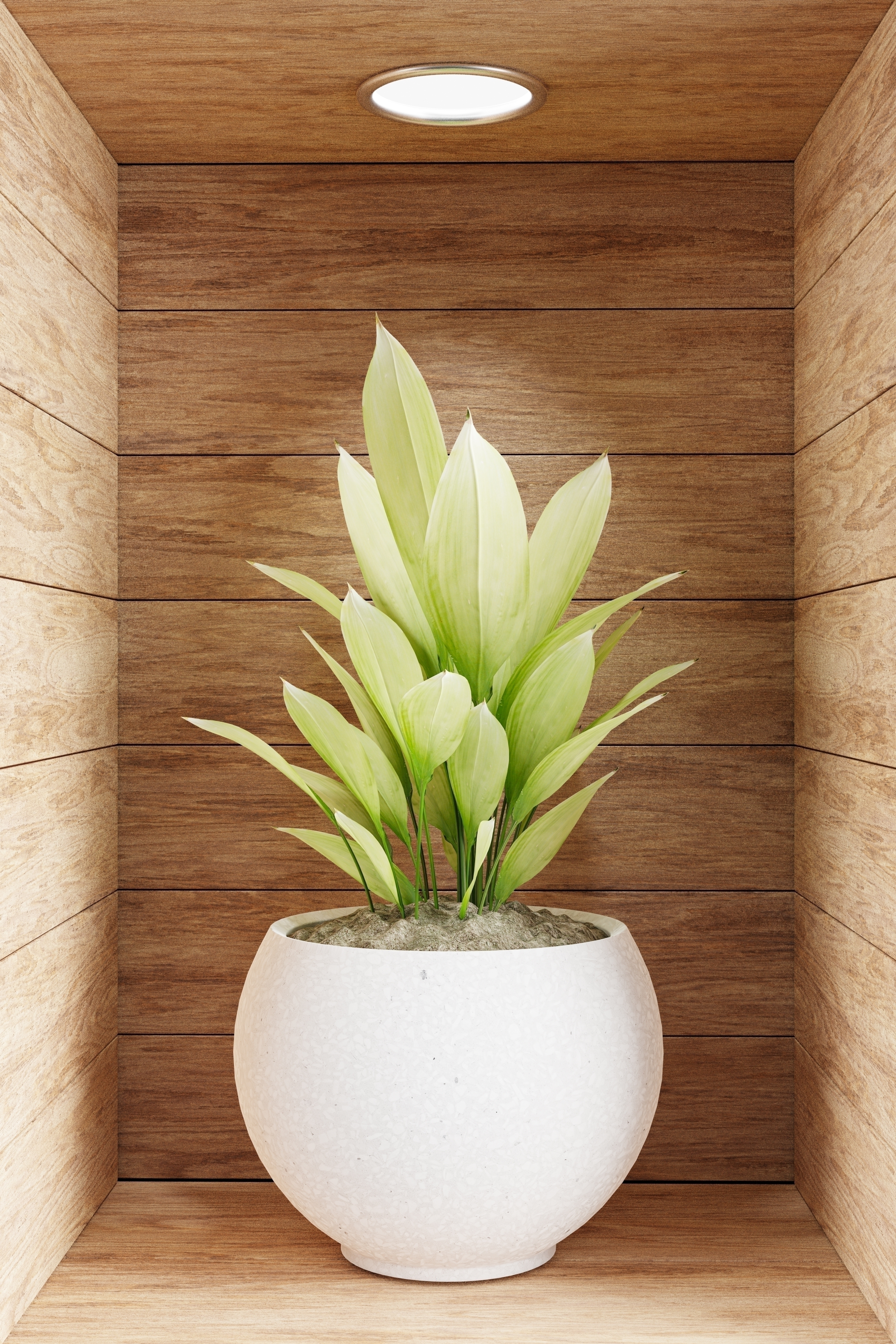 Obraz 3D - kwiat w drewnianej wnęce VI