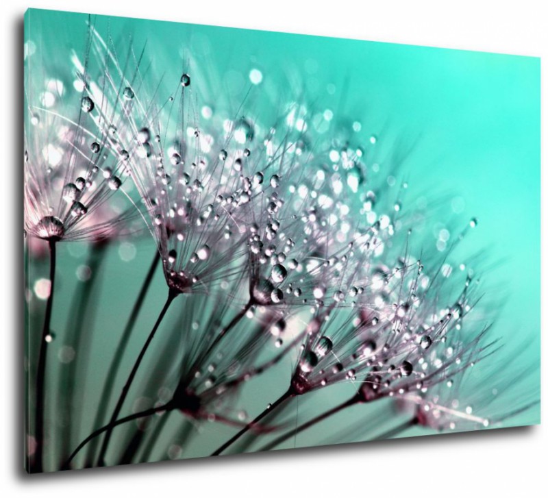 Obraz krople wody i turkus 90x60