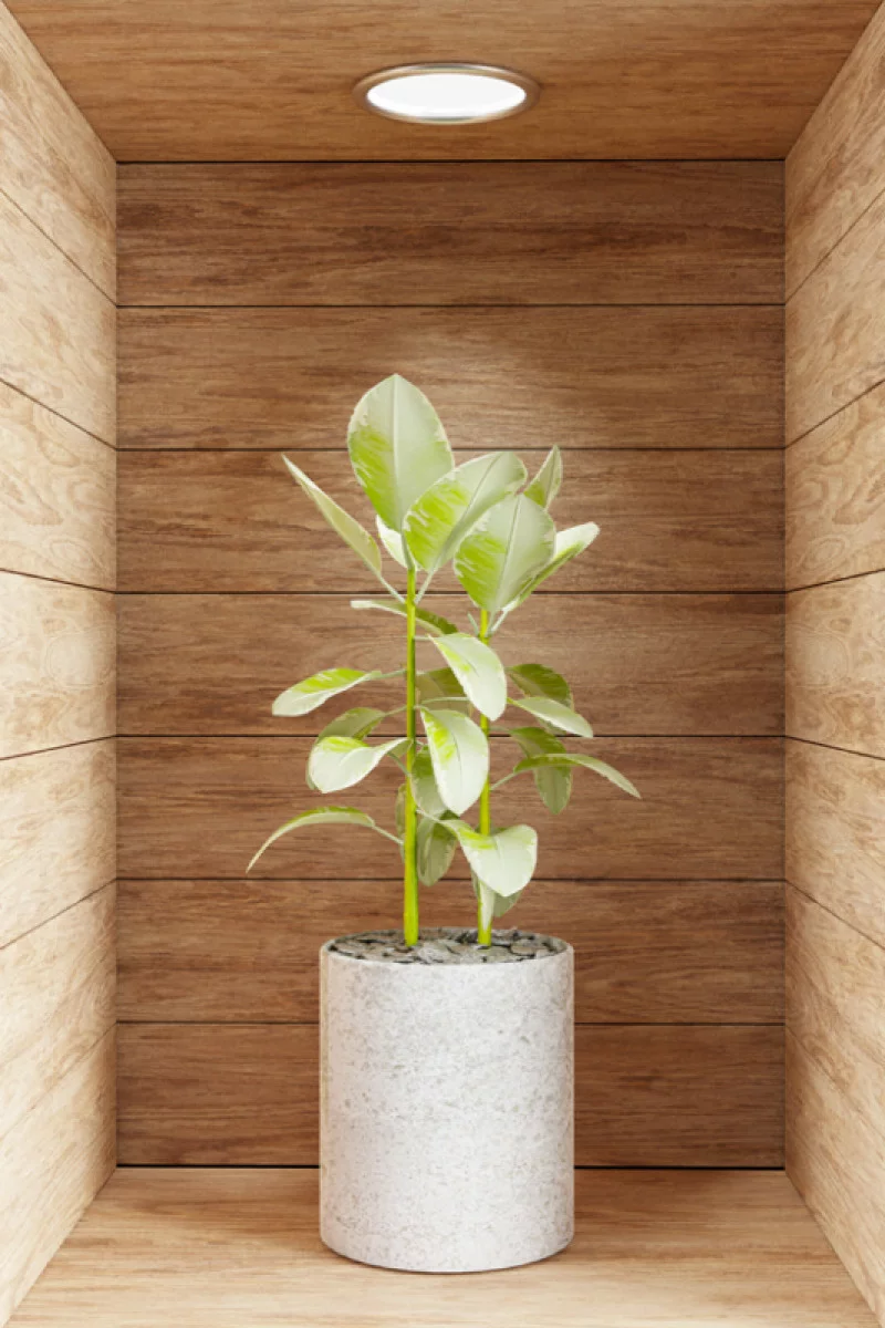 Naklejka na ścianę 3D do kuchni - kwiat w drewnianej wnęce XII