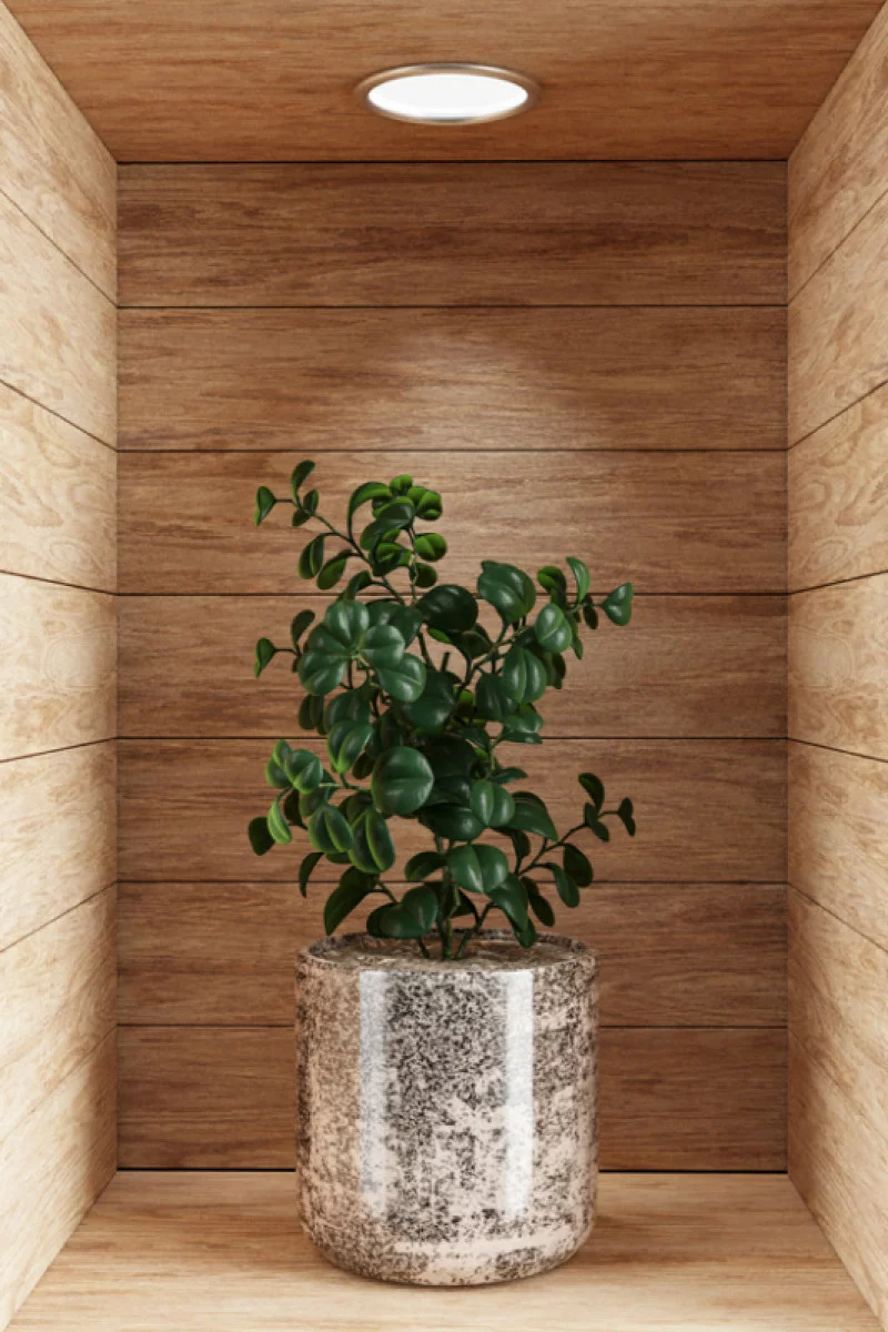 Naklejka na ścianę 3D do kuchni - kwiat w drewnianej wnęce XXXII