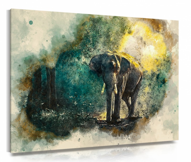 Obraz na plátne Slon v džungli 