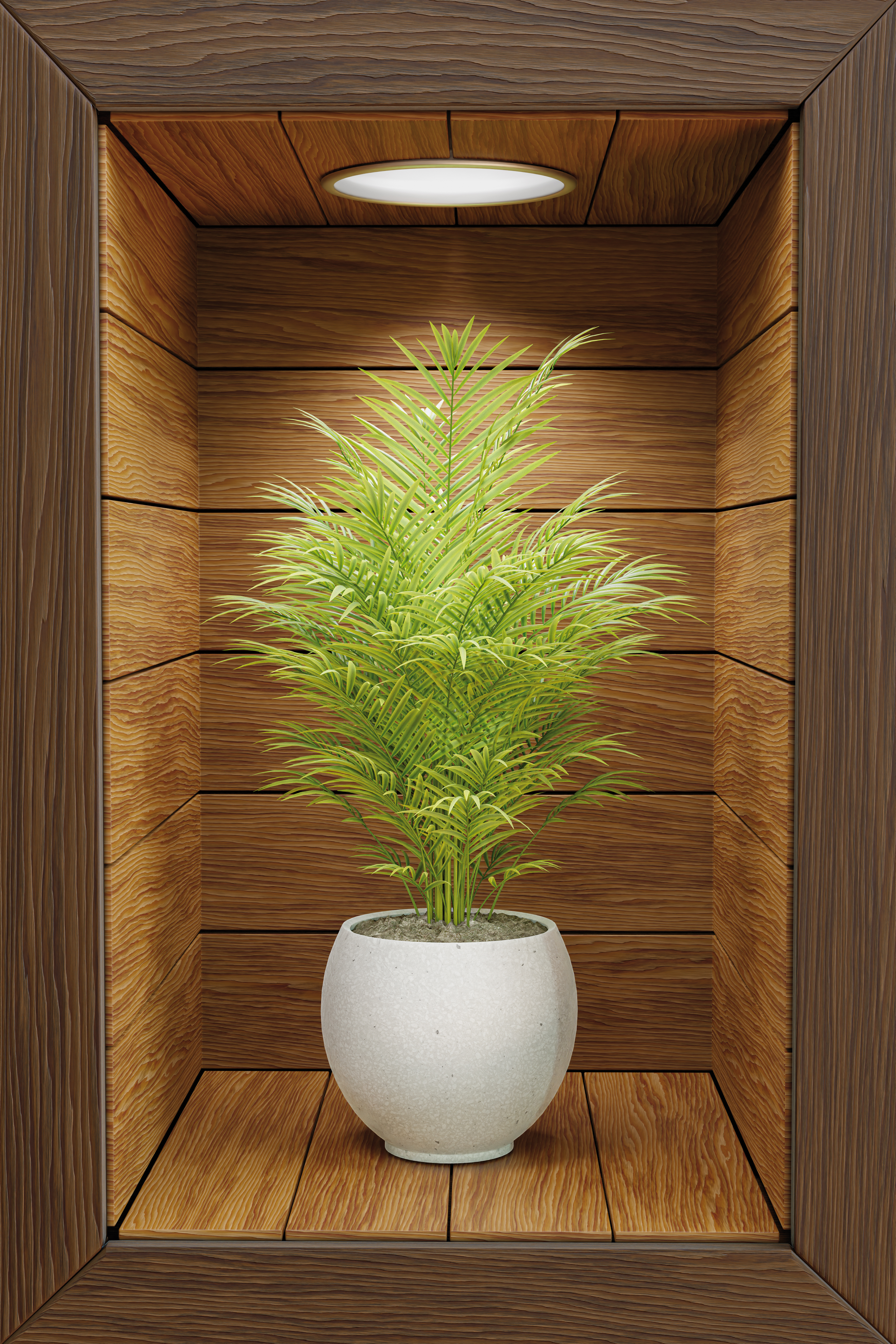 Obraz 3D - drewniana wnęka z kwiatem II