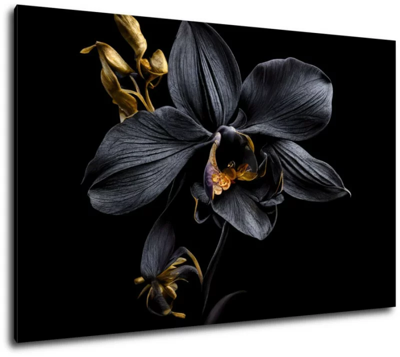 Obraz - czarno-złota orchidea - obrazek 1