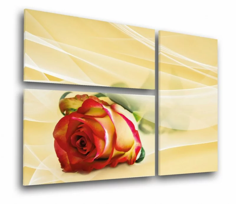 Obraz trójelement - subtelna róża - obrazek 1