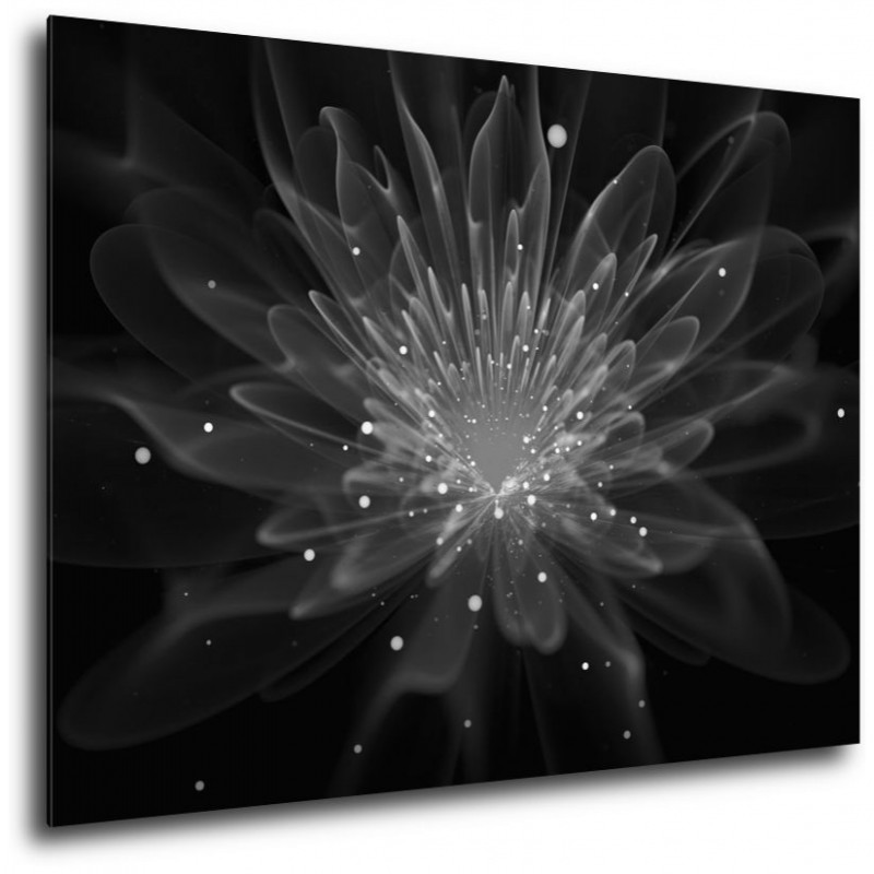 Obraz na plátne Kvet jednej noci čierno-biely