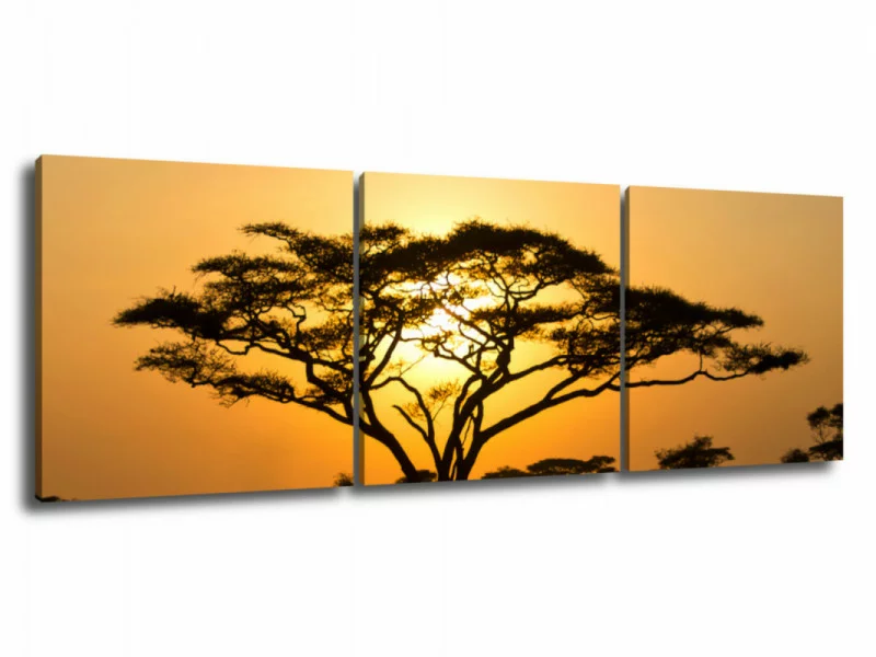Obraz 3 częściowy - afrykańskie drzewo