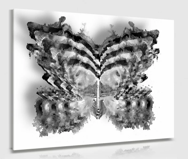 Obraz watercolor - czarno-biały motyl