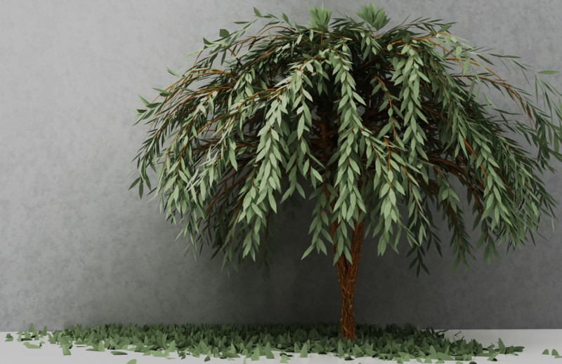 Fototapeta 3D Koruna stromu tmavo zelená