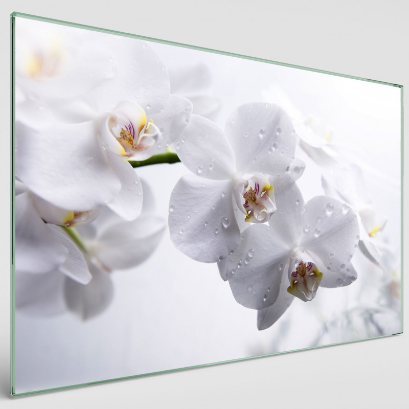 Obraz szklany - zroszone orchidee