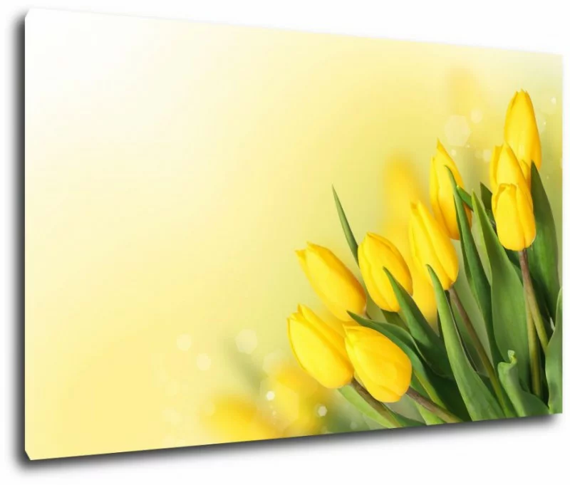 Obraz - Bukiet żółte tulipany 120x75 cm - obrazek 1