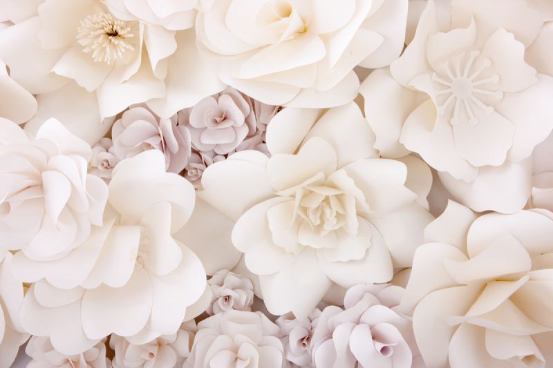 Fototapeta 3D Papierové kvety krémové
