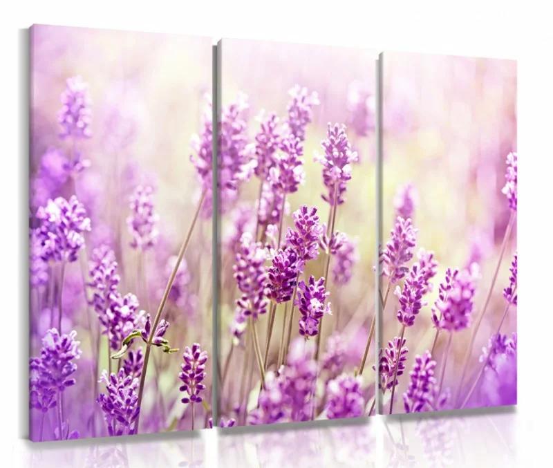 obraz tryptyk lawenda - obrazek 1