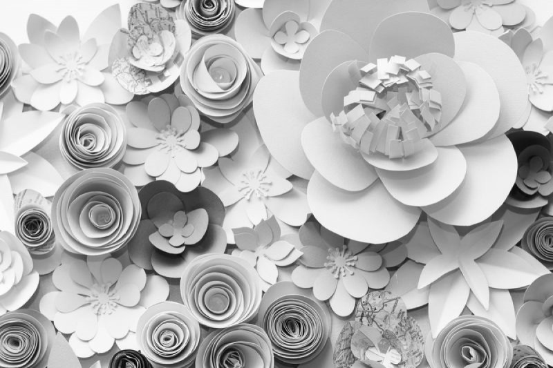 Fototapeta 3D Papierové kvety sivé