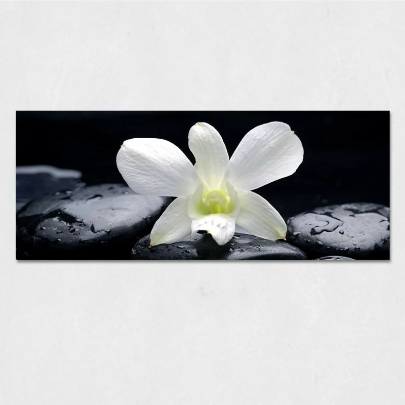 Obraz na szkle - biała orchidea - obrazek 1
