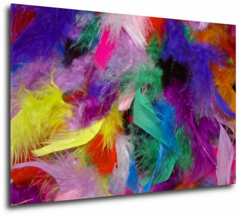 Obraz kolorowe pióra - obrazek 1