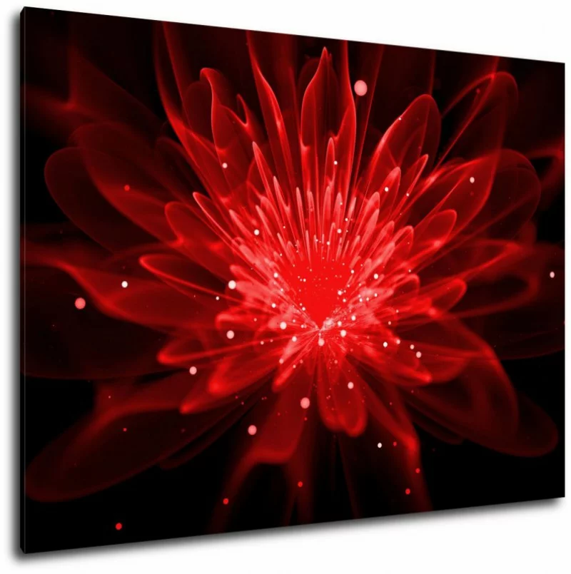 Obraz - kwiat jednej nocy - czerwony - obrazek 1