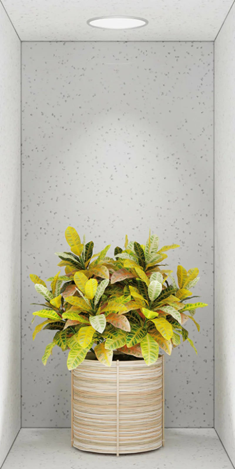 Naklejka na ścianę 3D do kuchni - kwiat we wnęce XXIII - obrazek 1