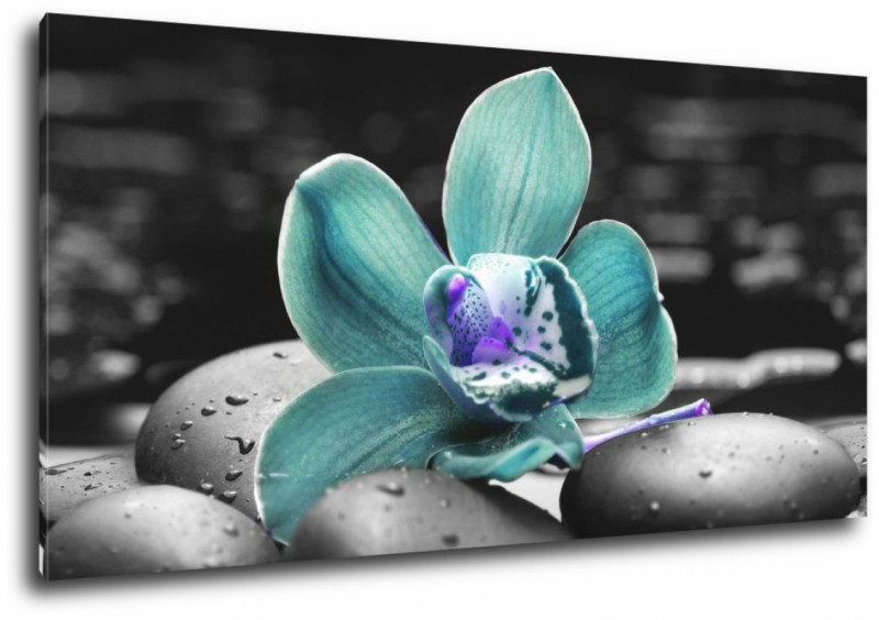 Obraz na plátne Orchidea na kameňoch