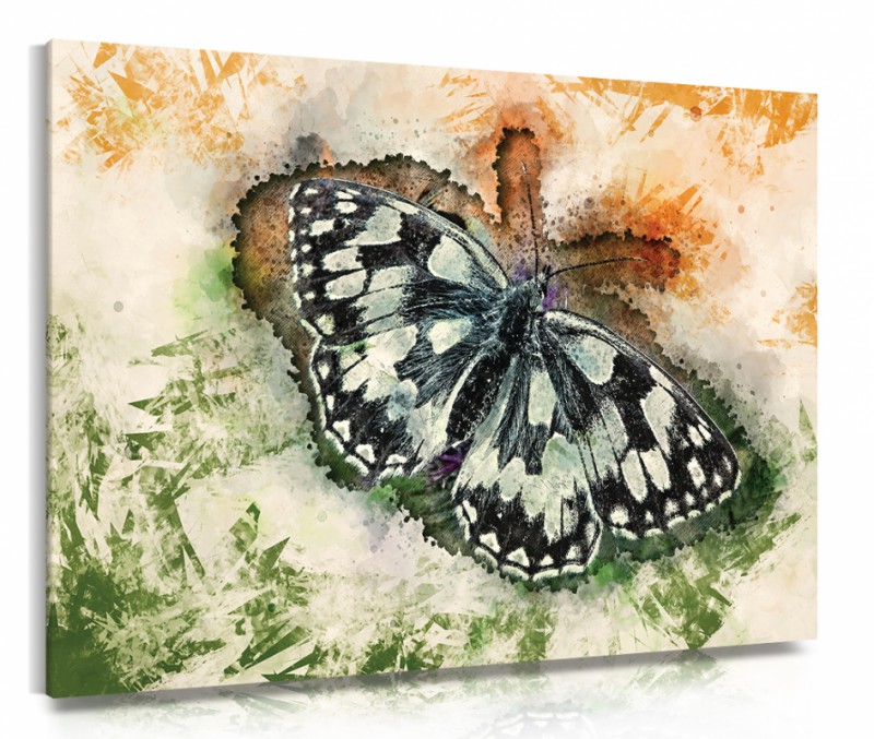 Obraz na plátne Kreslený motýľ