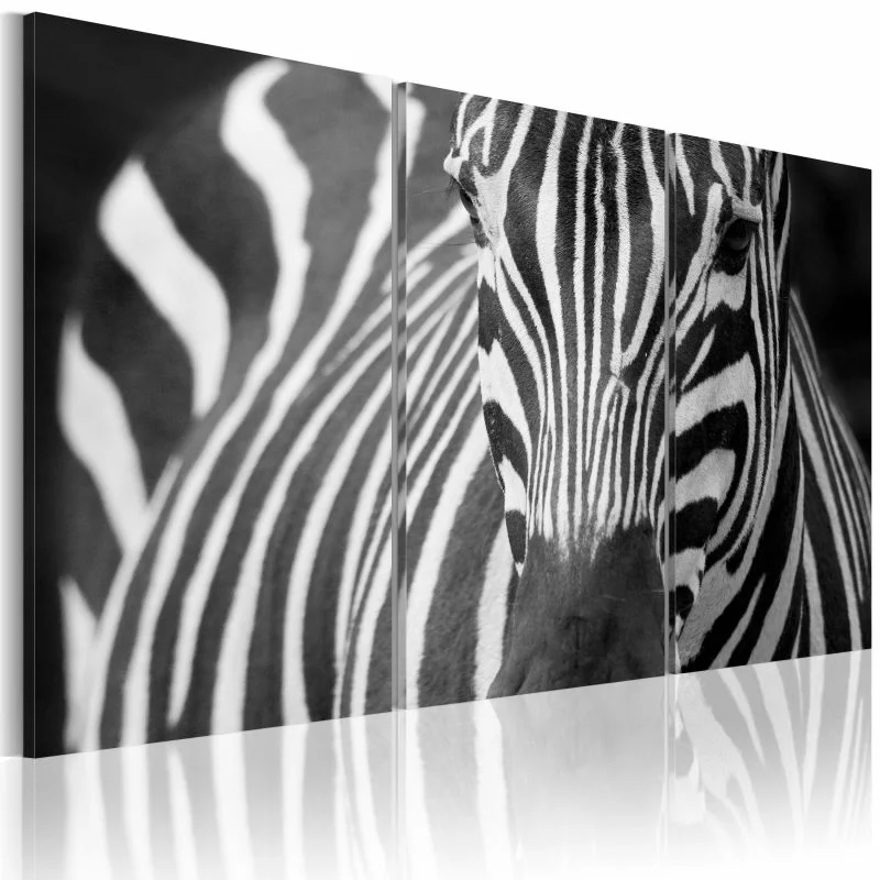 Obraz - Pani Zebra - obrazek 1