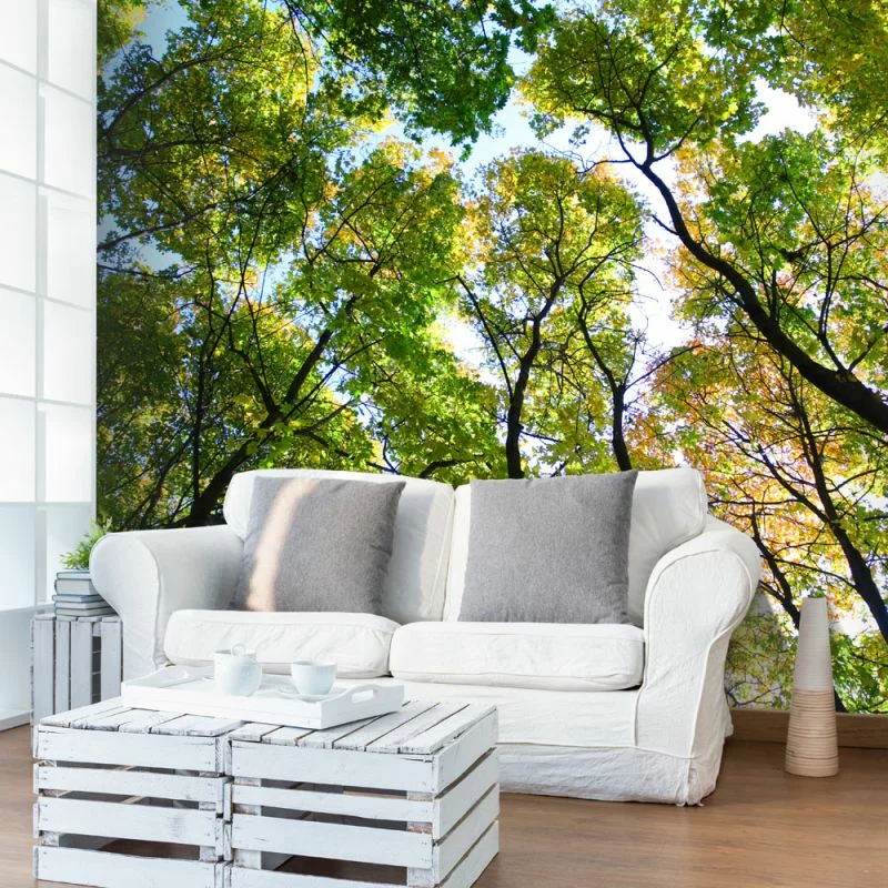 Fototapeta wodoodporna - Looking up at the trees - obrazek 1