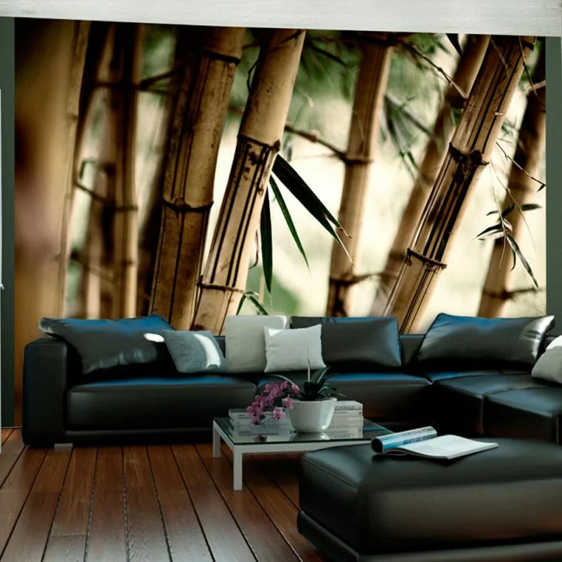 Fototapeta wodoodporna - Fog and bamboo forest - obrazek 1