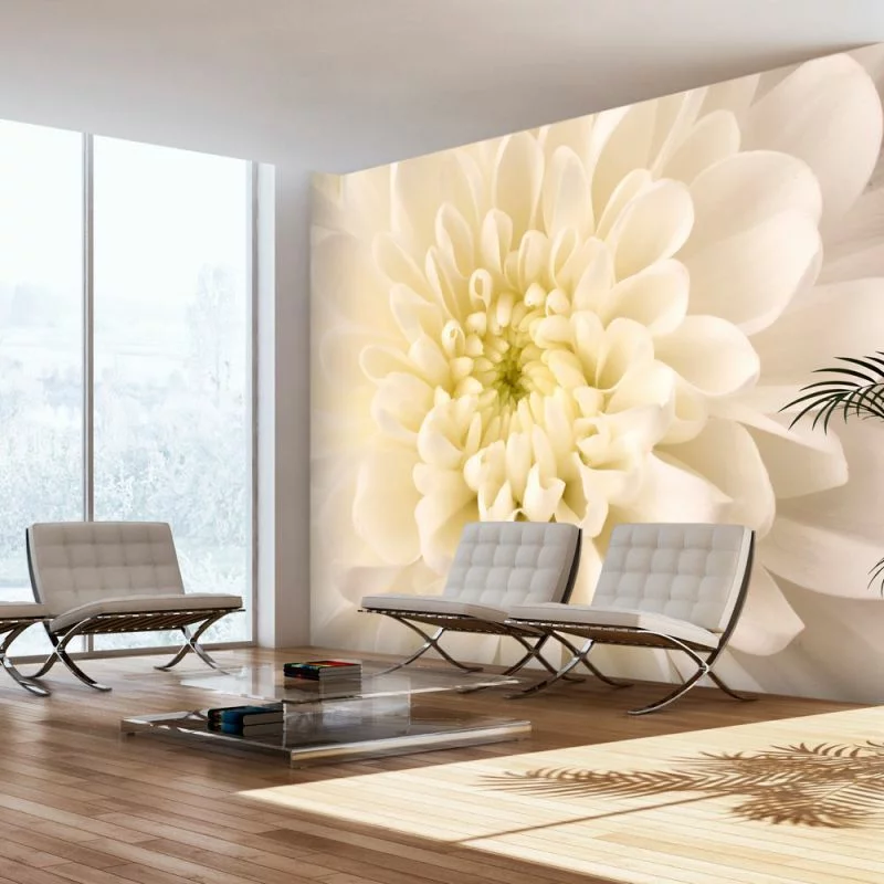 Fototapeta wodoodporna - Biała dalia - obrazek 1