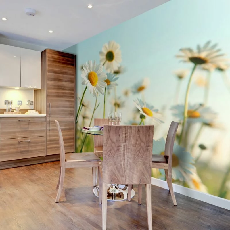 Fototapeta wodoodporna - Stokrotki - obrazek 1