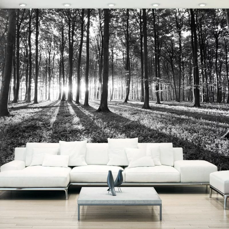 Fototapeta samoprzylepna - Szara puszcza - obrazek 1