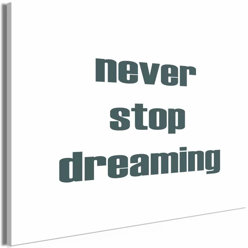 Obraz - Never Stop Dreaming (1-częściowy) szeroki - obrazek 1