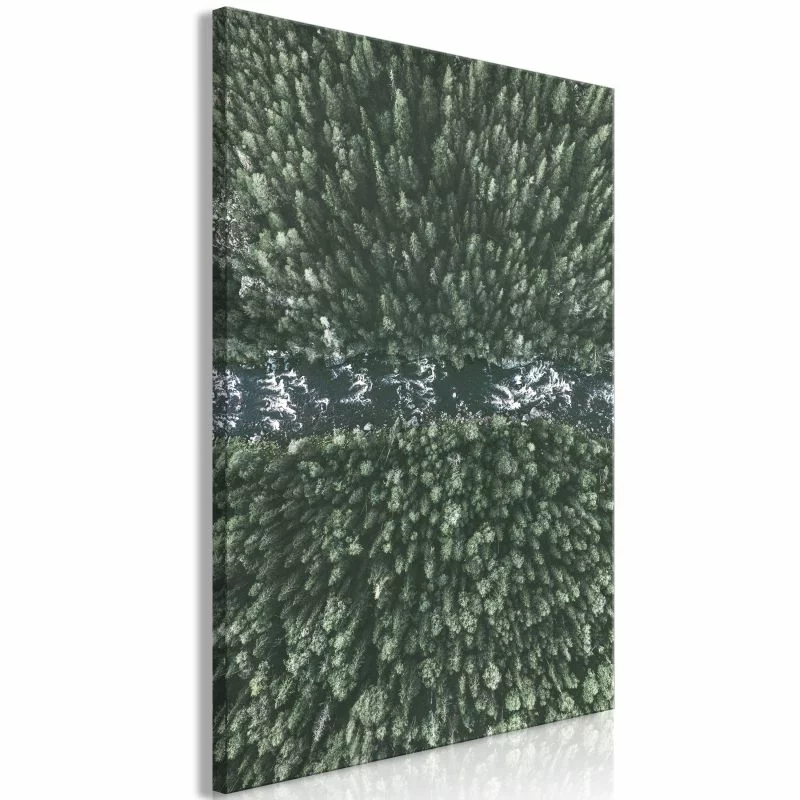 Obraz - Leśna rzeka (1-częściowy) pionowy
