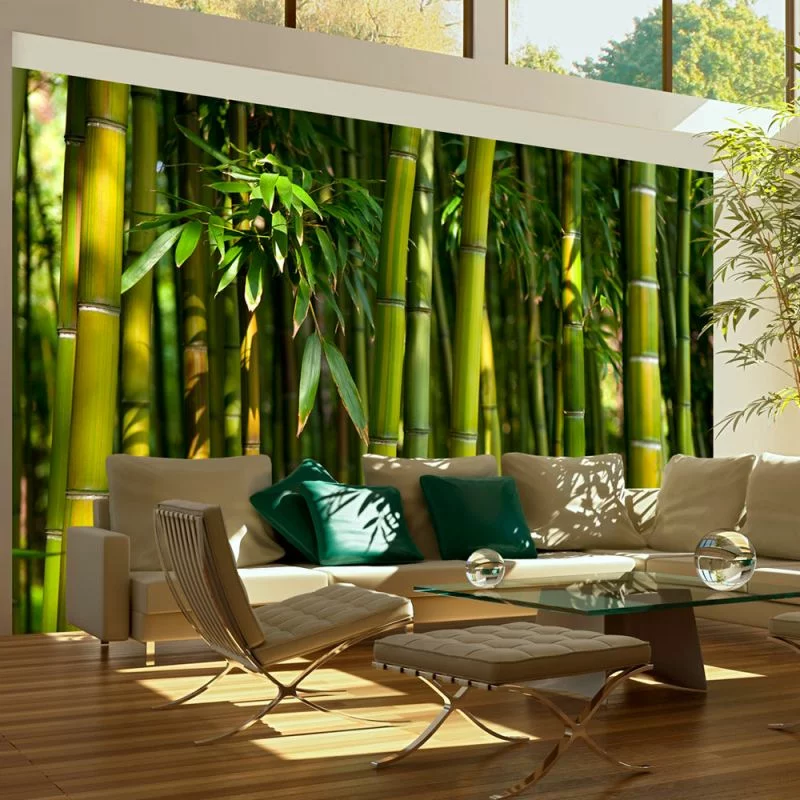 Fototapeta - Azjatycki las bambusowy - obrazek 1
