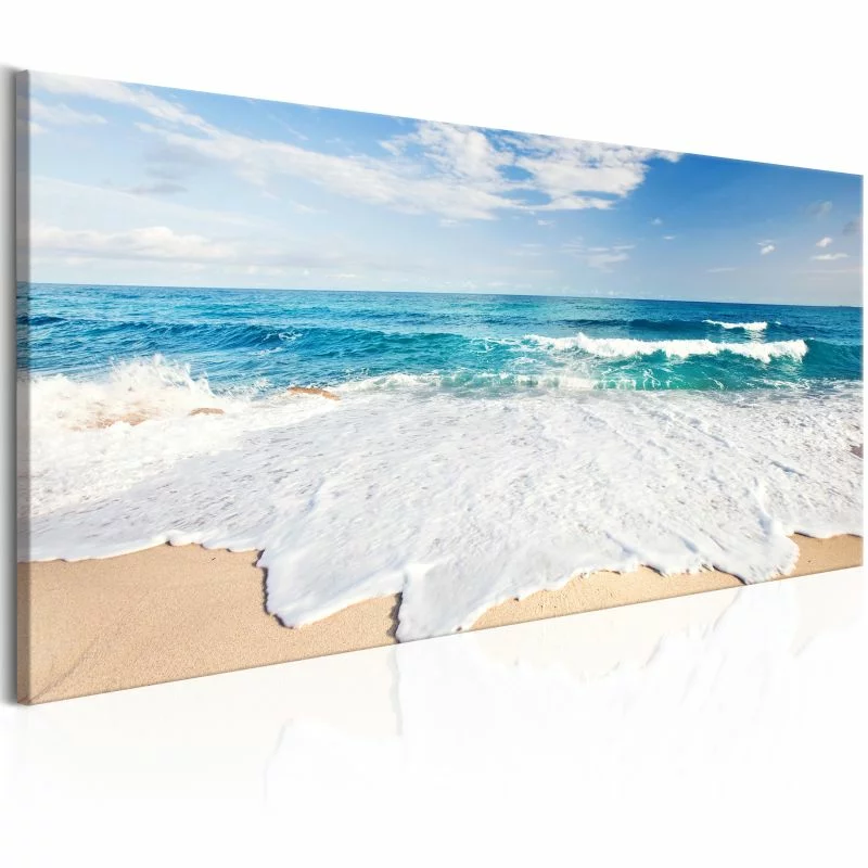 Obraz - Plaża na wyspie Captiva - obrazek 1