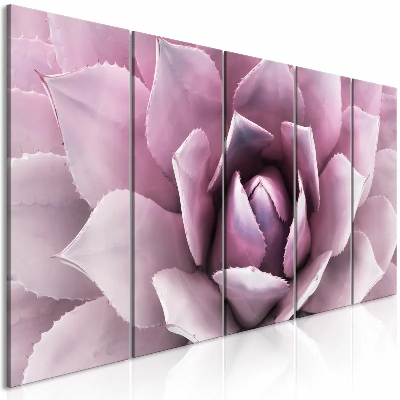 Obraz - Agawa (5-częściowy) wąski różowy - obrazek 1
