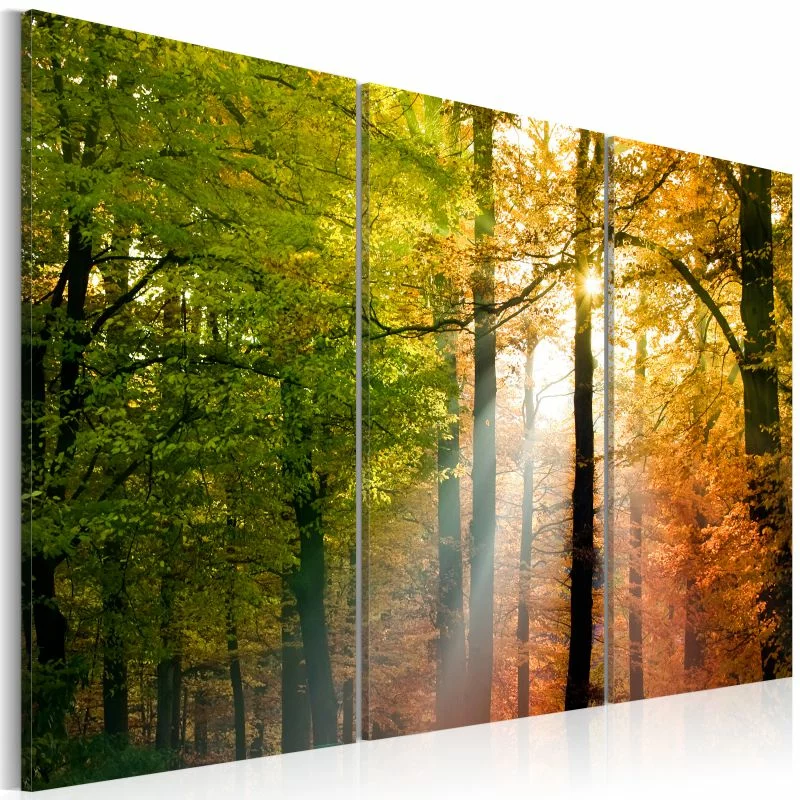 Obraz - Spokojny jesienny las  - obrazek 1