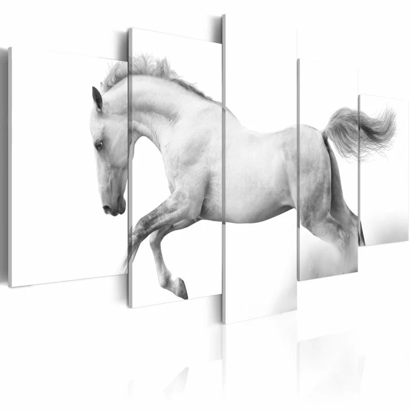 Obraz - Koń - pasja i wolność