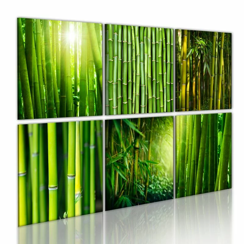 Obraz - Bambus w kilku odsłonach