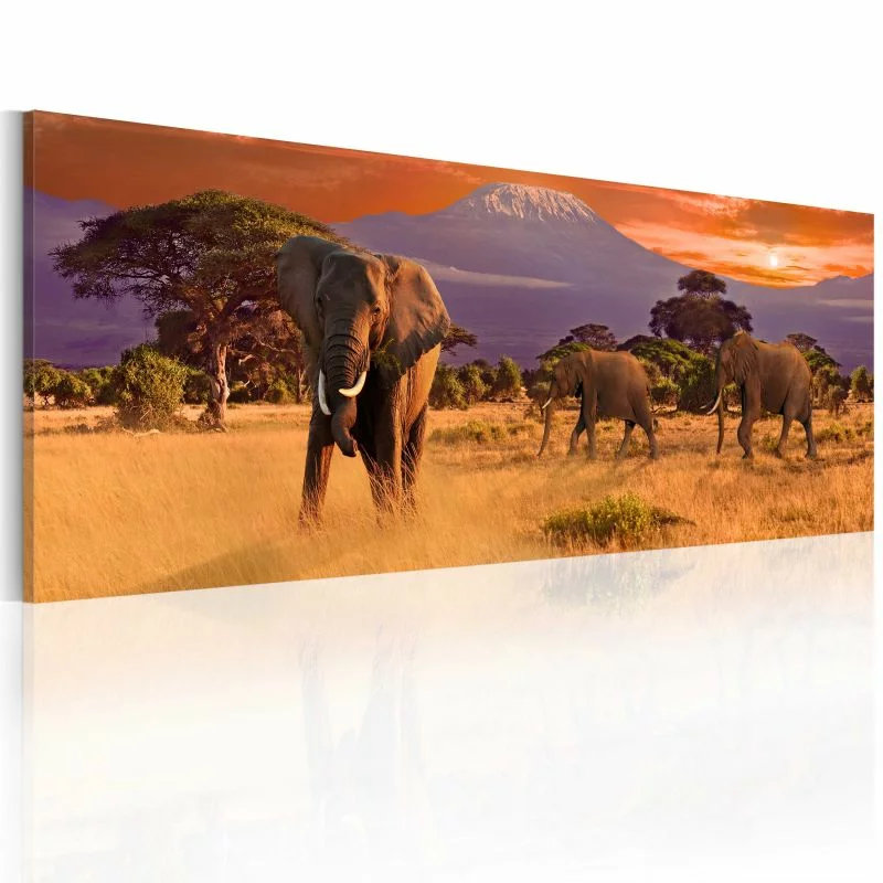 Obraz - Marsz afrykańskich słoni
