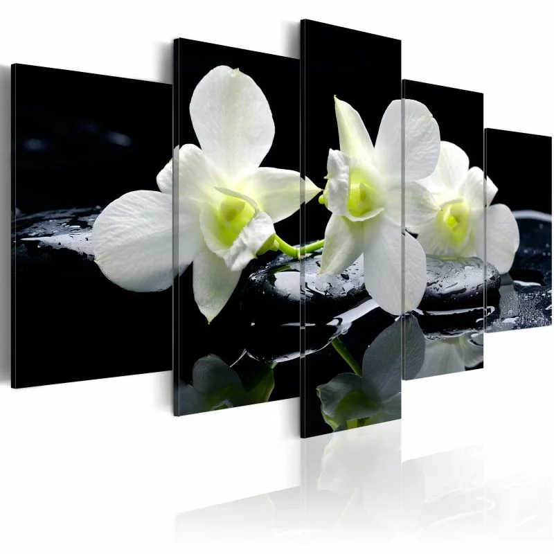 Obraz - Melancholijne orchidee - obrazek 1