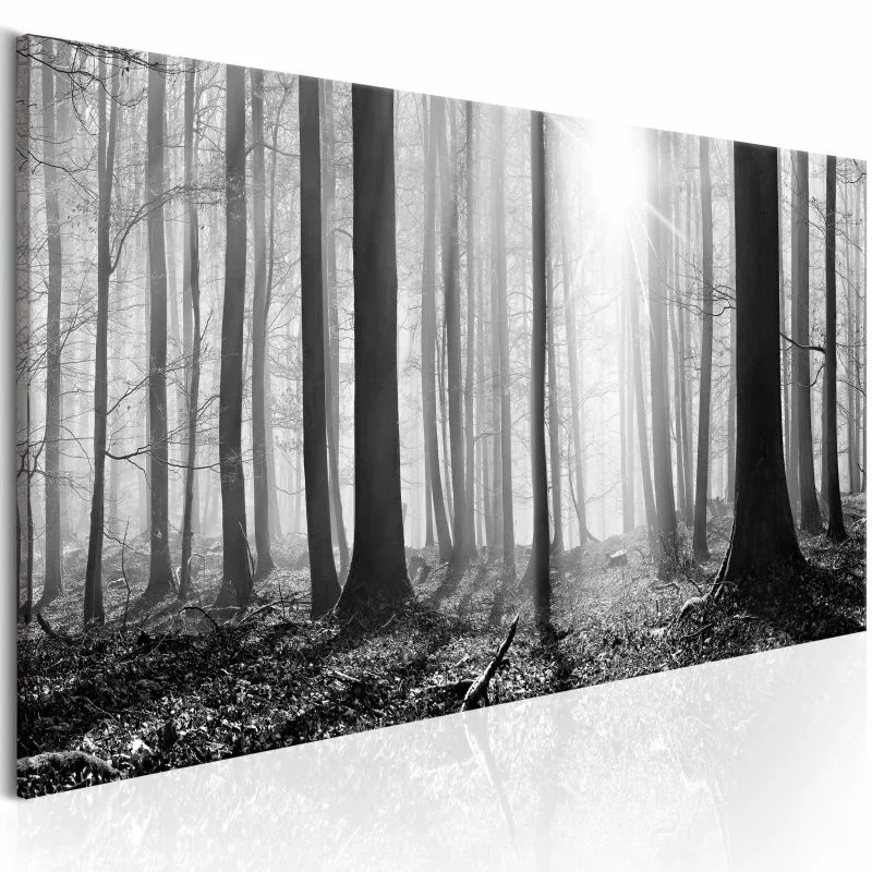 Obraz - Czarno-biały las - obrazek 1