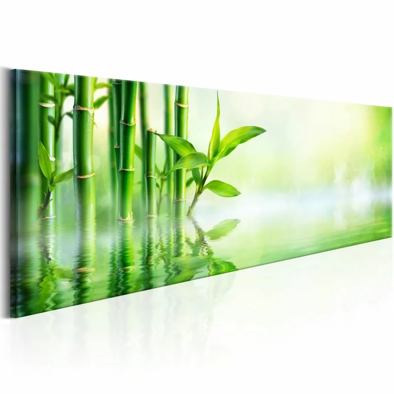 Obraz - Zielony bambus