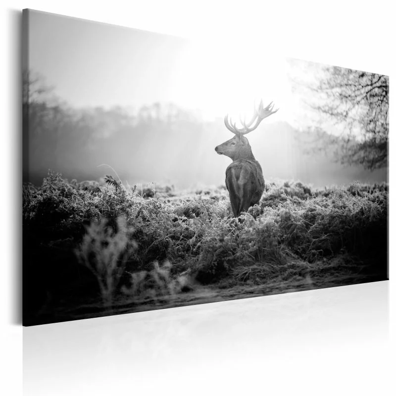 Obraz - Czarno-biały jeleń