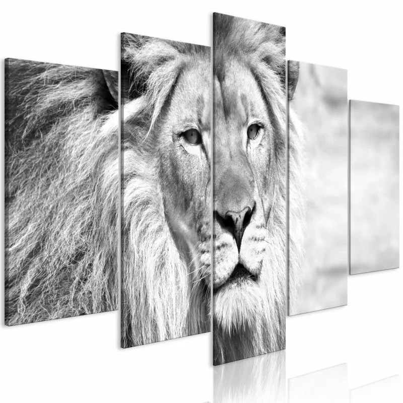 Obraz - Król zwierząt (5-częściowy) szeroki czarno-biały - obrazek 1