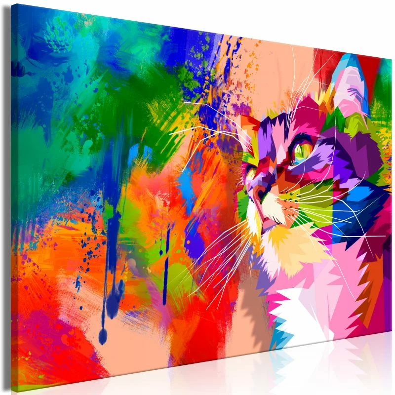 Obraz - Kolorowy kot (1-częściowy) szeroki