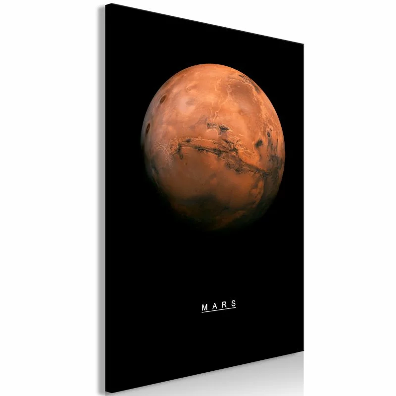 Obraz - Mars (1-częściowy) pionowy - obrazek 1