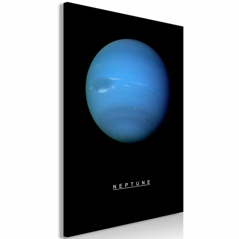 Obraz - Neptun (1-częściowy) pionowy - obrazek 1