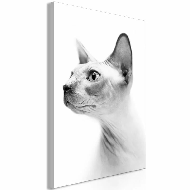 Obraz - Bezwłosy kot (1-częściowy) pionowy - obrazek 1