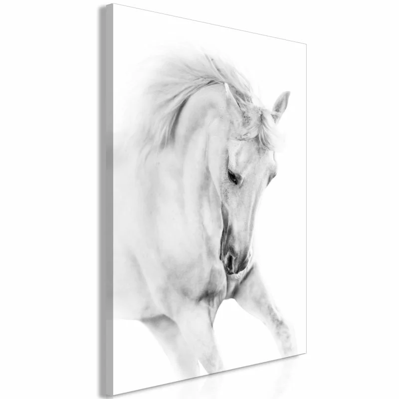 Obraz - Biały koń (1-częściowy) pionowy - obrazek 1
