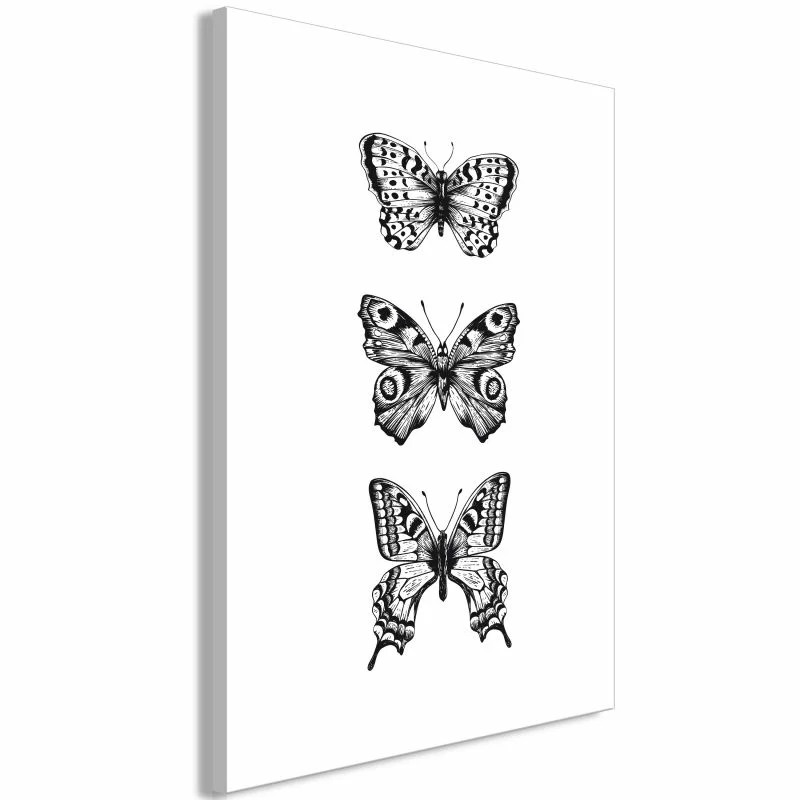 Obraz - Trzy motyle (1-częściowy) pionowy